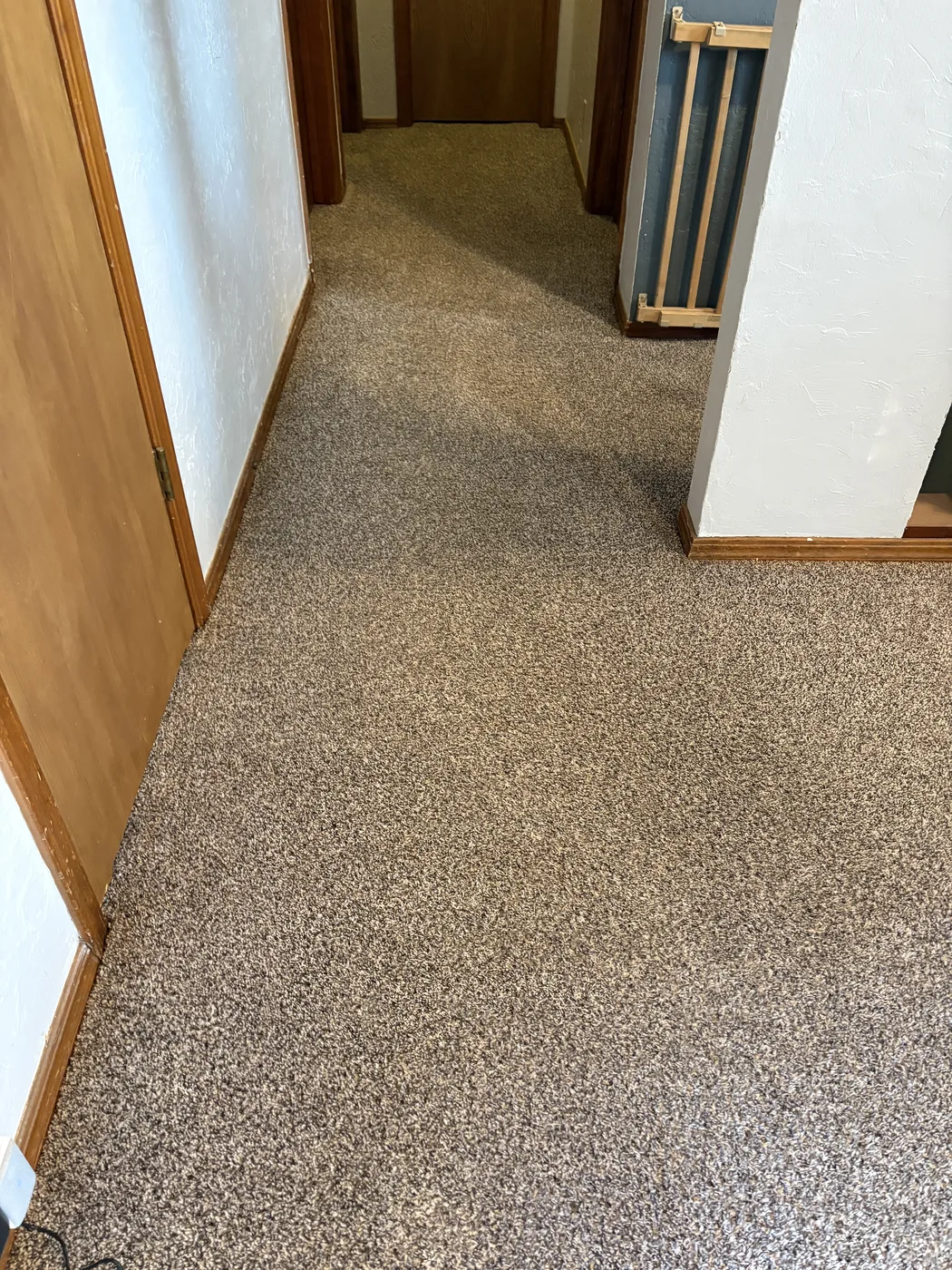 Carpet Cleaning work by Aqua Steam