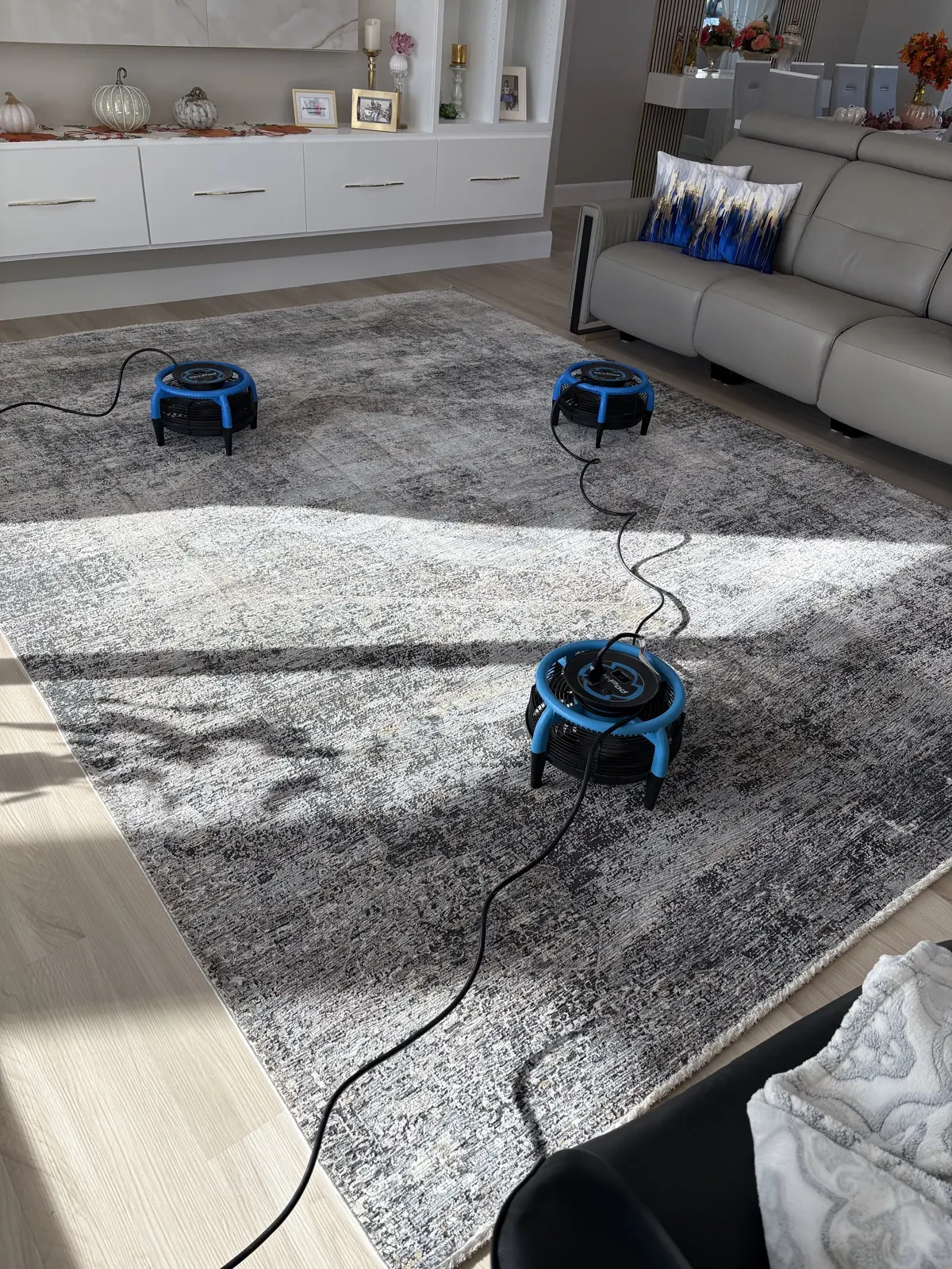 Patterned area rug photographed at an Aqua Steam job