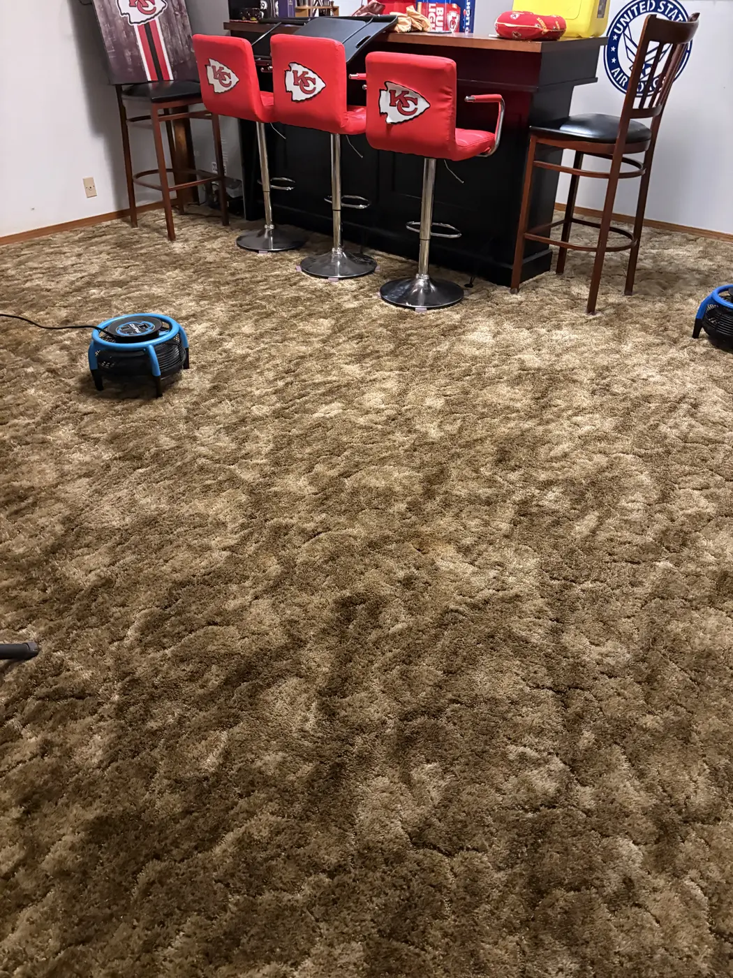Aqua Steam carpet cleaning work.