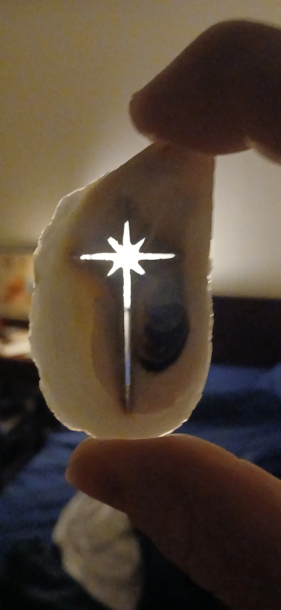 Oyster shell held up to the light, with light shining through a cutout of a star above a long cross line