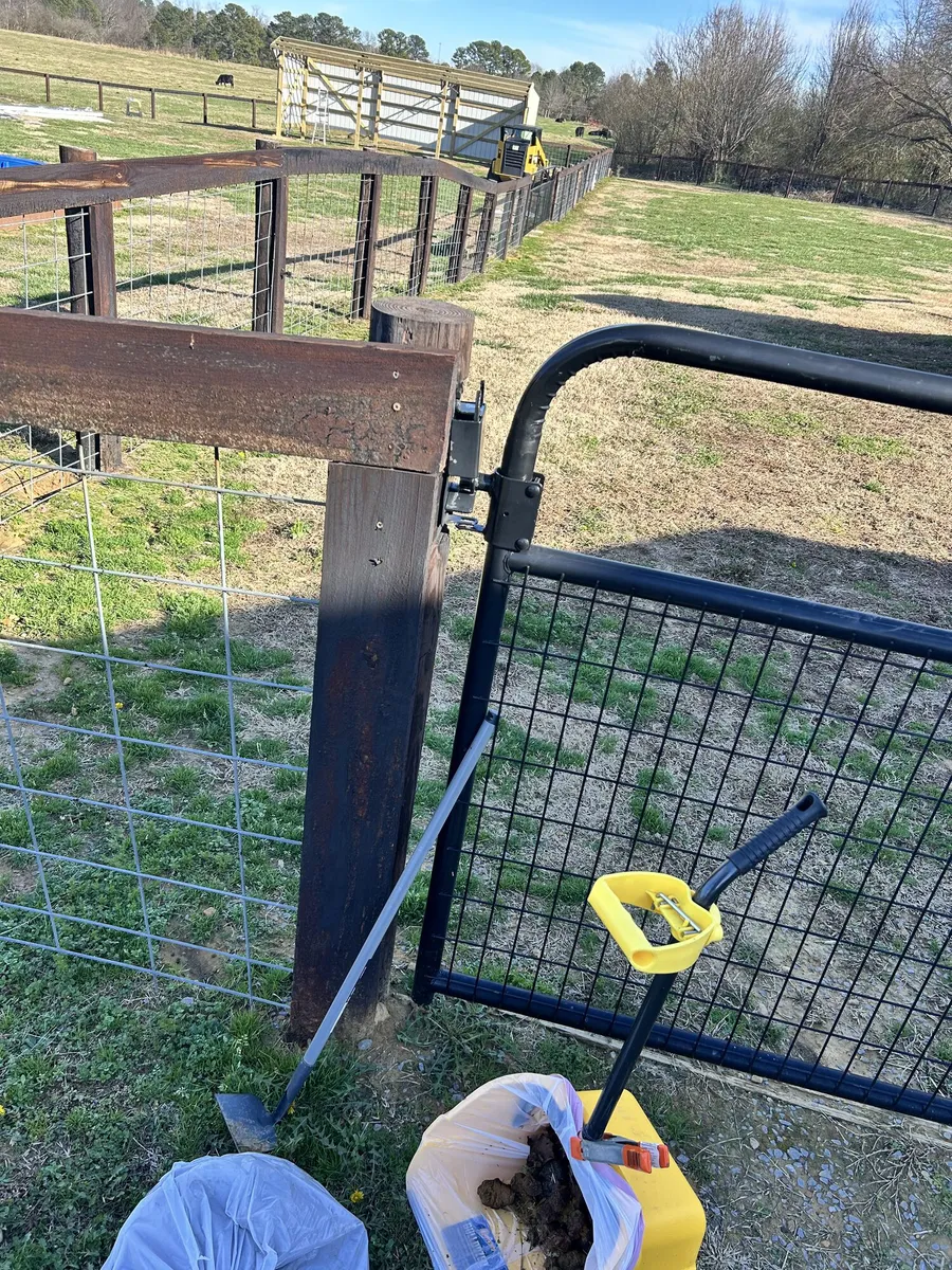 Scooper tools and bagged dog waste beside a closed yard gate