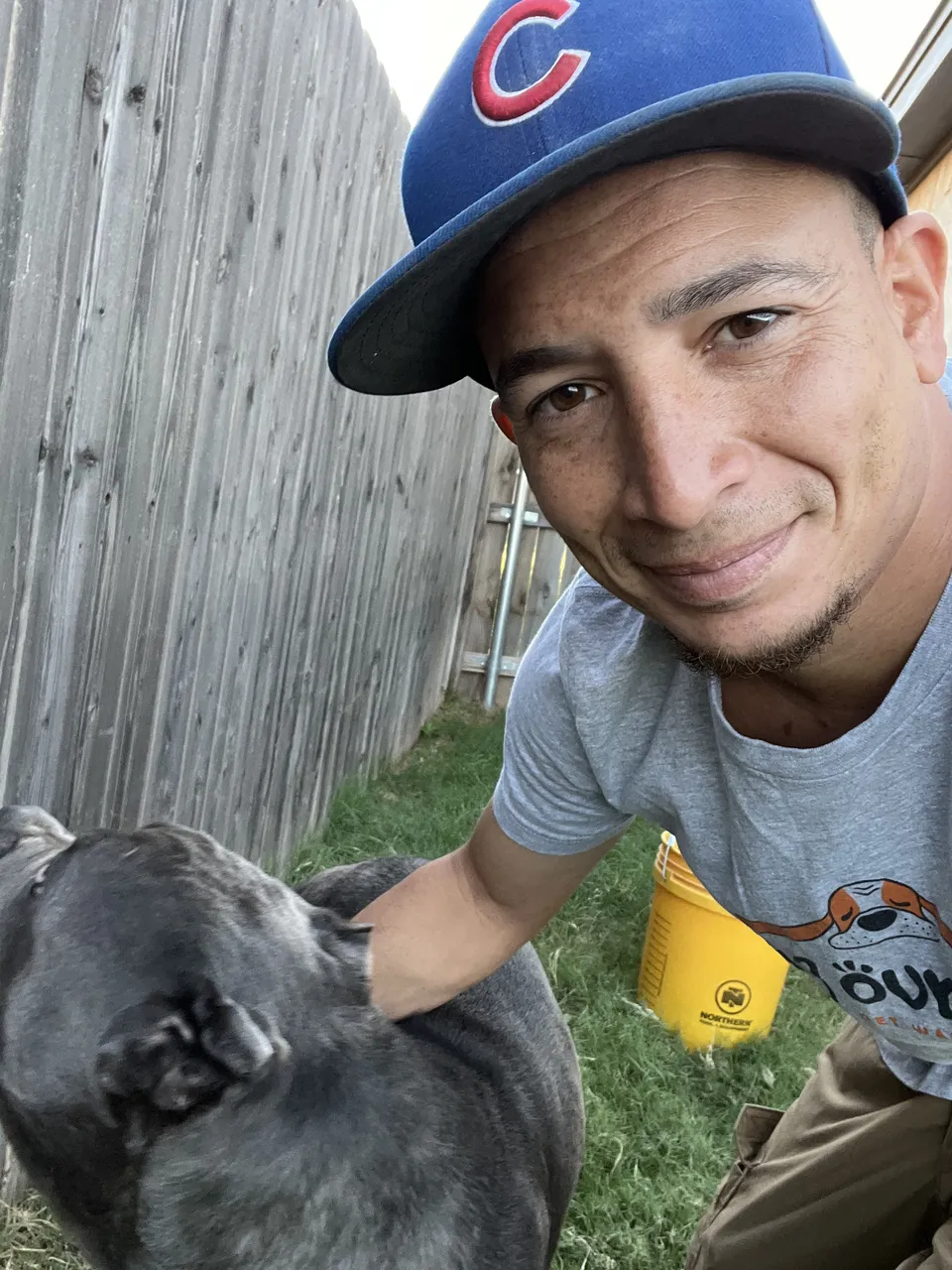 A man wearing a blue cap and gray t-shirt smiles while petting a large gray dog in a grassy area beside a wooden fence