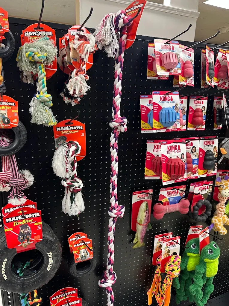 A display shelf of Kong and Mammoth dog toys