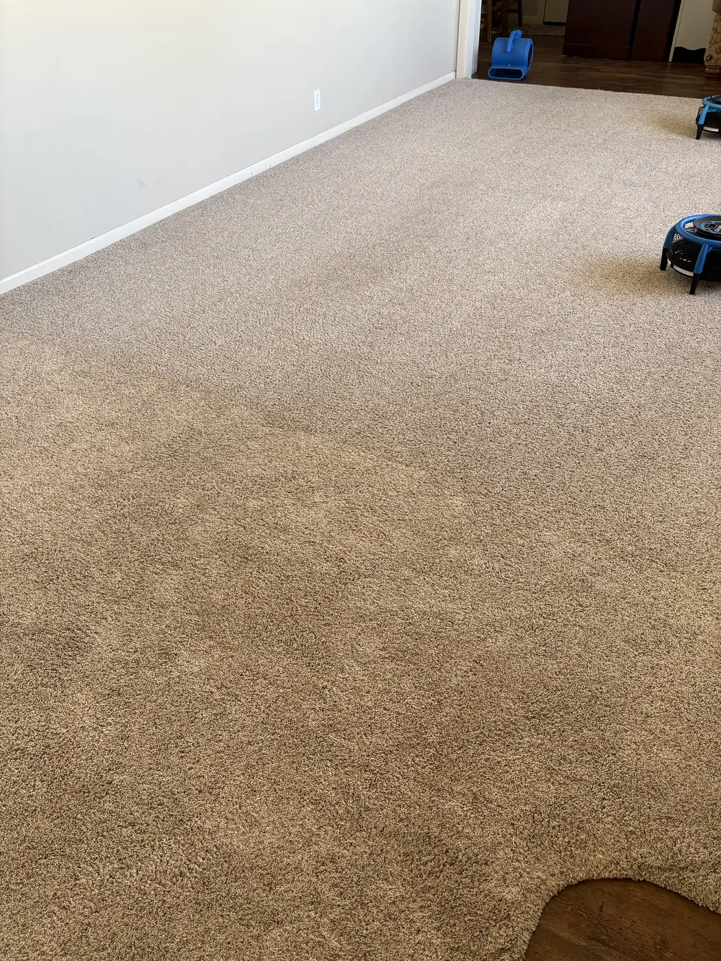 Carpet cleaning work.