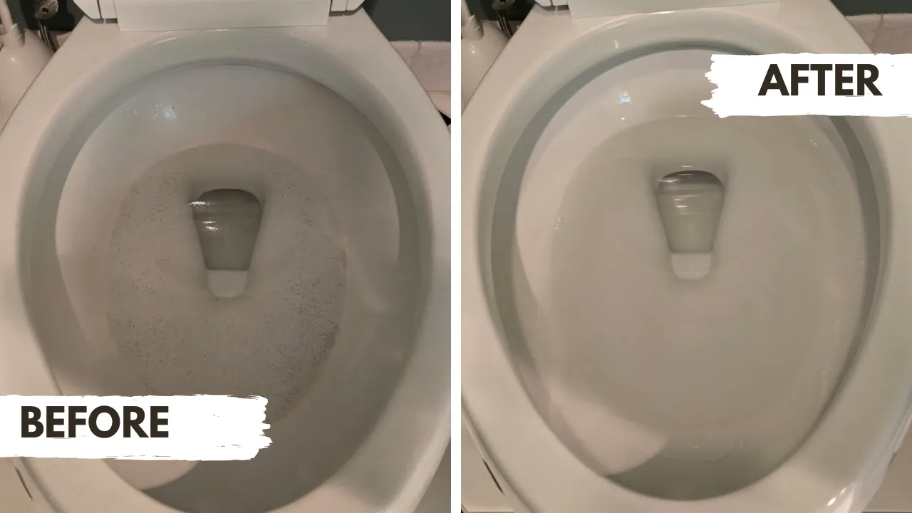 Before and after toilet cleaning comparison in Pasadena