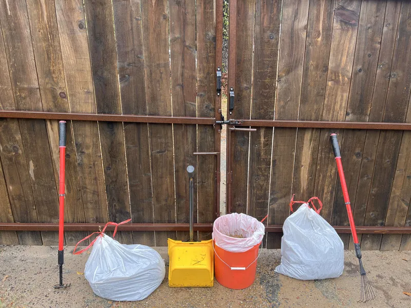 Garden tools and waste bags arranged in front of a wooden gate after yard cleanup
